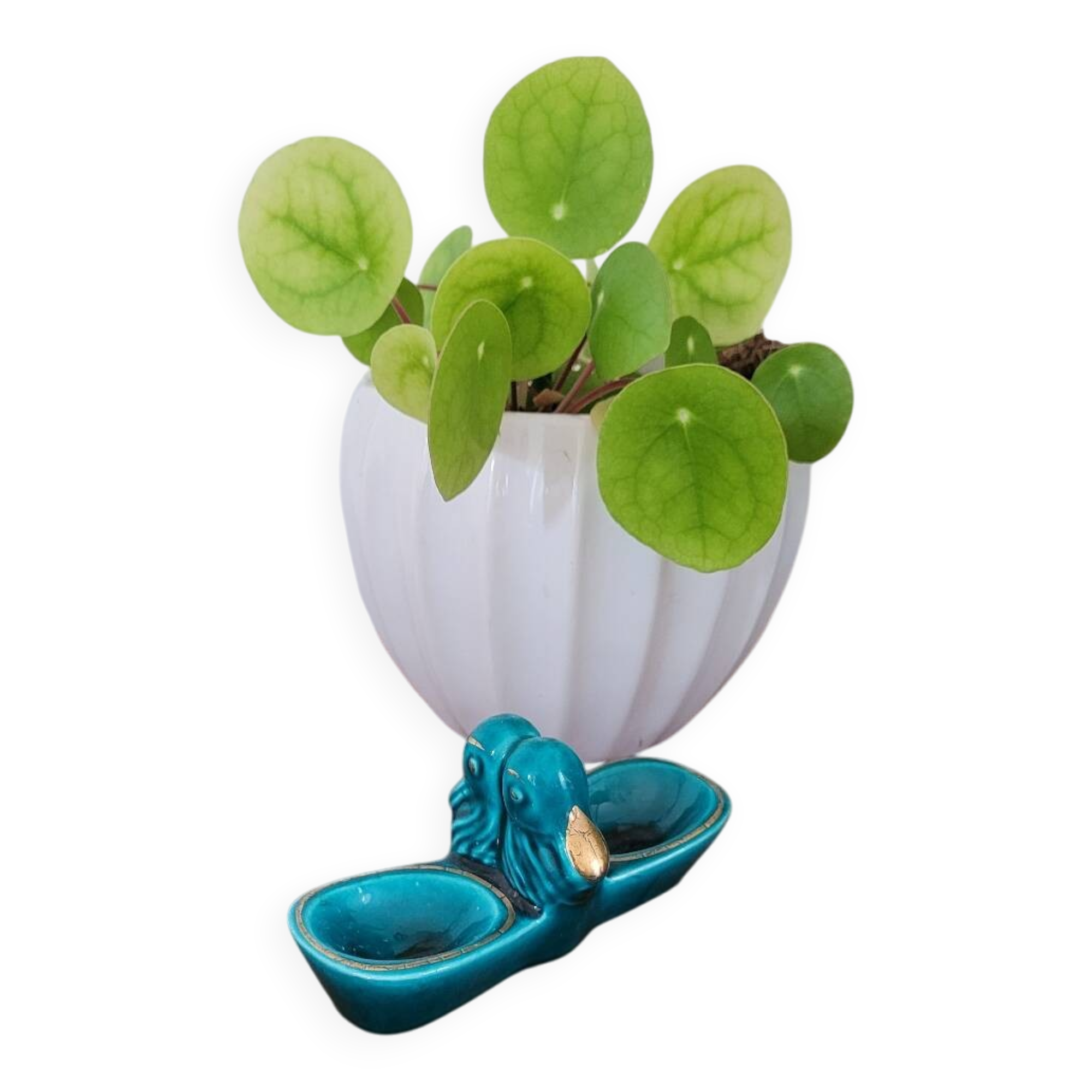 Glazed porcelain salt cellar