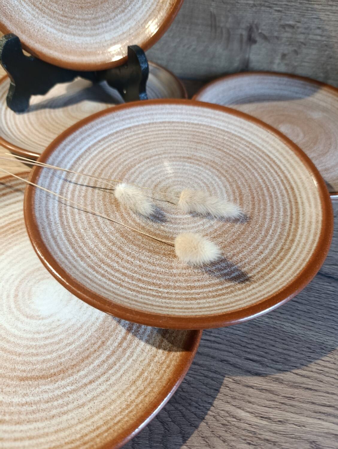 5 dessert plates in stoneware, Esterel model by St Amand | vintage