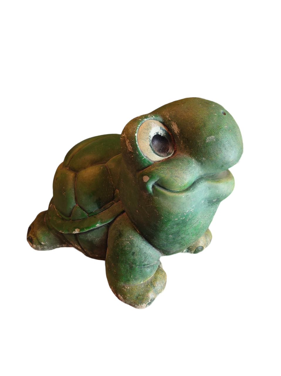 Green turtle in concrete