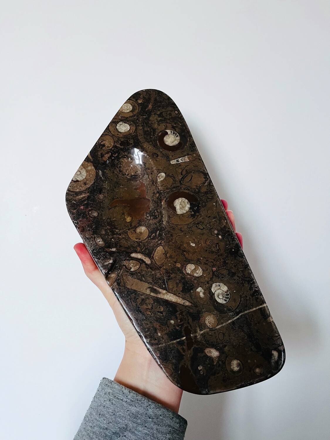Vintage fossilised marble catchall