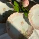 Set of 5 Art Nouveau dessert plates