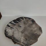 Large empty pocket or flat petrified wood - 24,5cm