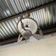 Antico lampadario, stile Liberty, con saliscendi