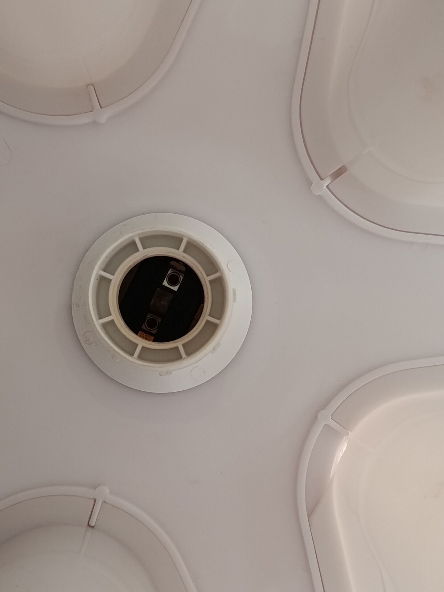 Suspension Habitat