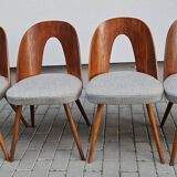 Chaises conçues par Antonín Šuman pour Tatra Nabytok, Tchécoslovaquie des années 1960.