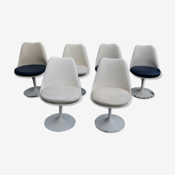 Lot de six chaises tulipe par Eero Saarinen pour Knoll