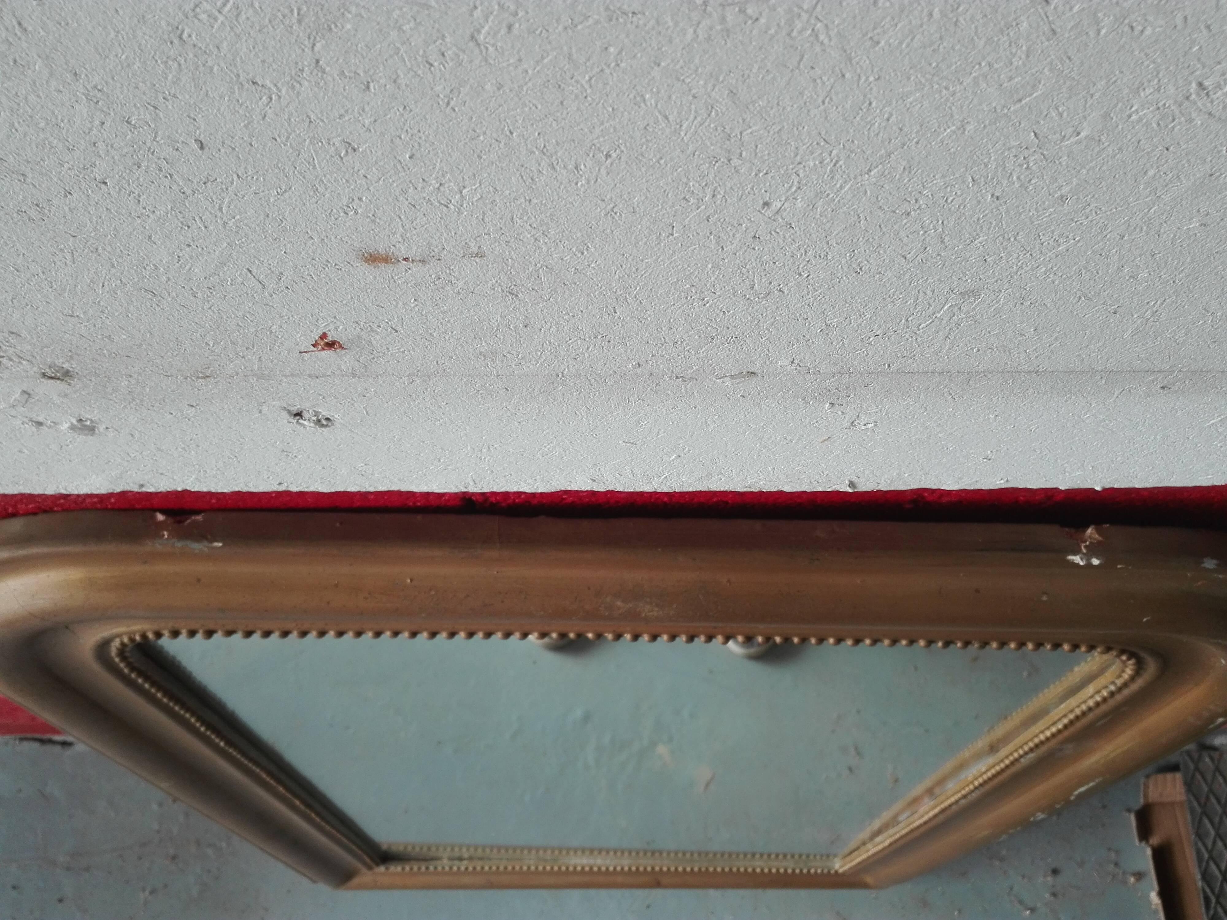 Mirror Louis Philippe 105x76cm