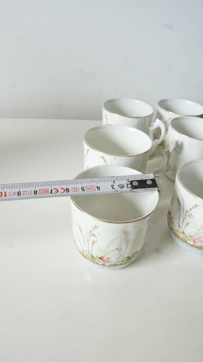 Set of 6 Limoges porcelain cups Barny Rigoni & Langle - 19th century