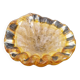 Empty Pocket Ashtray Murano Glass Amber Shell