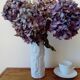 Bareuther Germany Bisque Porcelain Vase