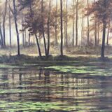 Landscape of the Fontainebleau forest