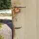 Cellar door, barn or attic with traditional whistle struts - early 20th century