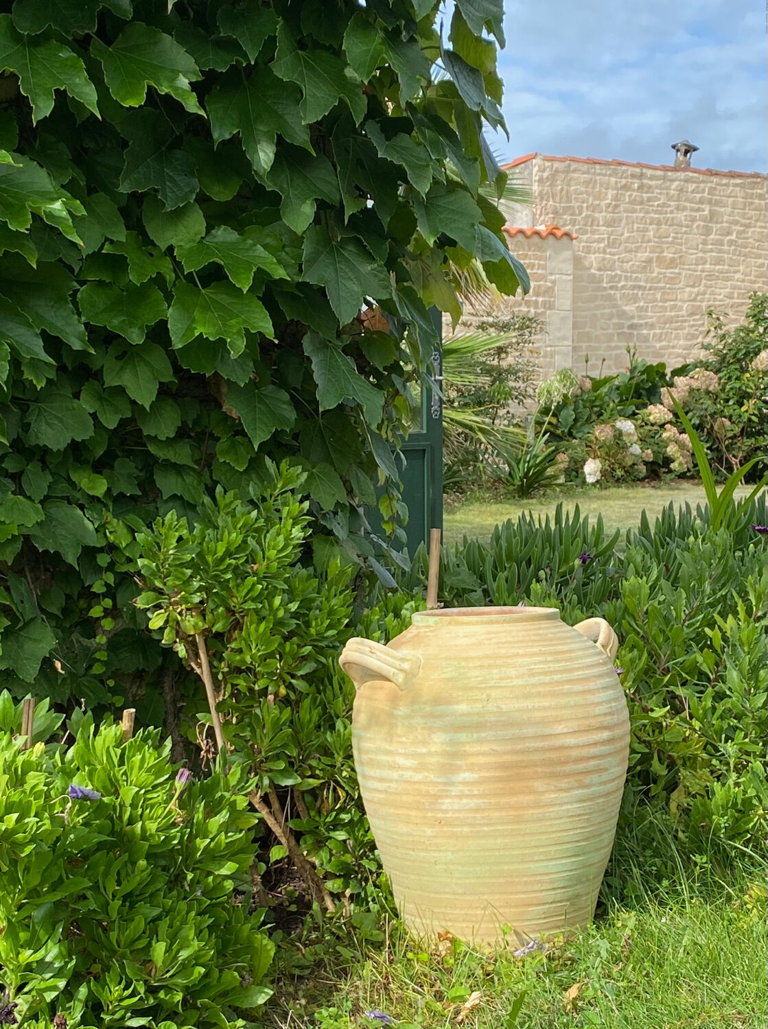 Terracotta jar 50cm