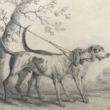 Portrait de deux chiens, tableau, dessin