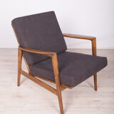 Model 300-139 Armchair from Swarzędzka Factory, 1960s