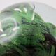 Sulfide paperweight robert pierini glass biot glass paperweight/novaro/green.
