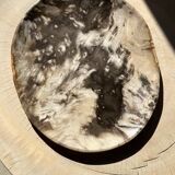 Very large empty pocket or petrified wooden flat