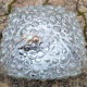 Plafonnier applique "Bubble" Héléna Tynell années 60