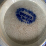 Deep dish U&C Sarreguemines model Bryonia