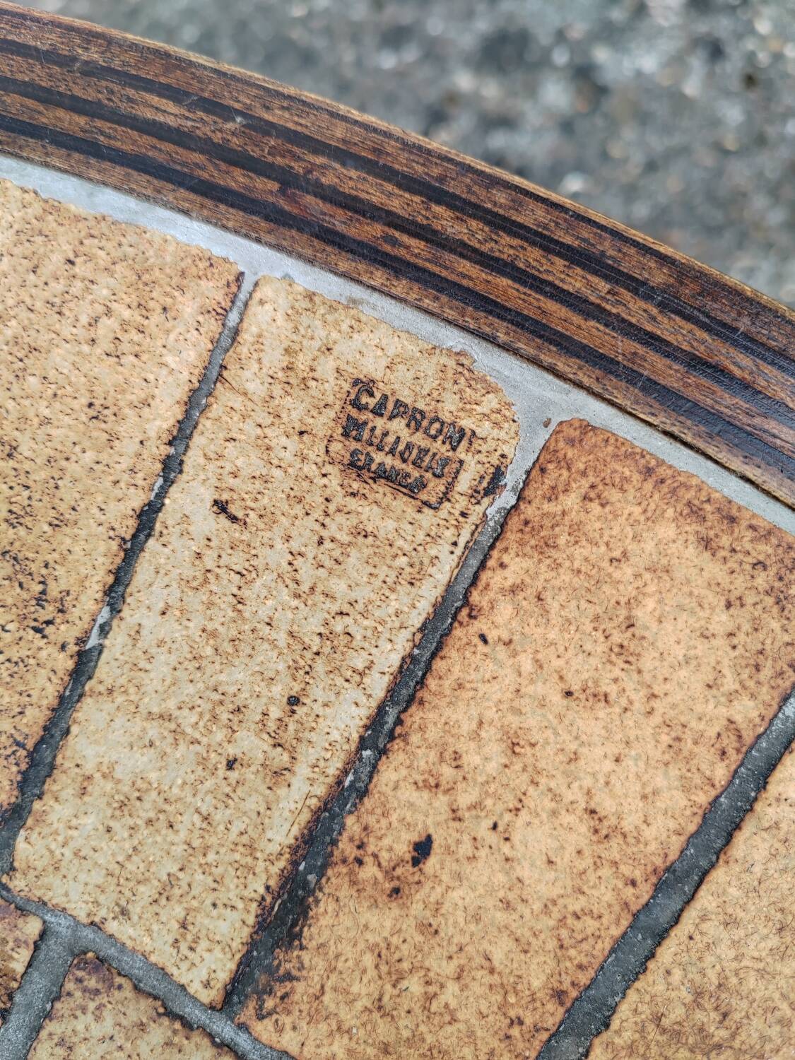 Herbarium coffee table Capron