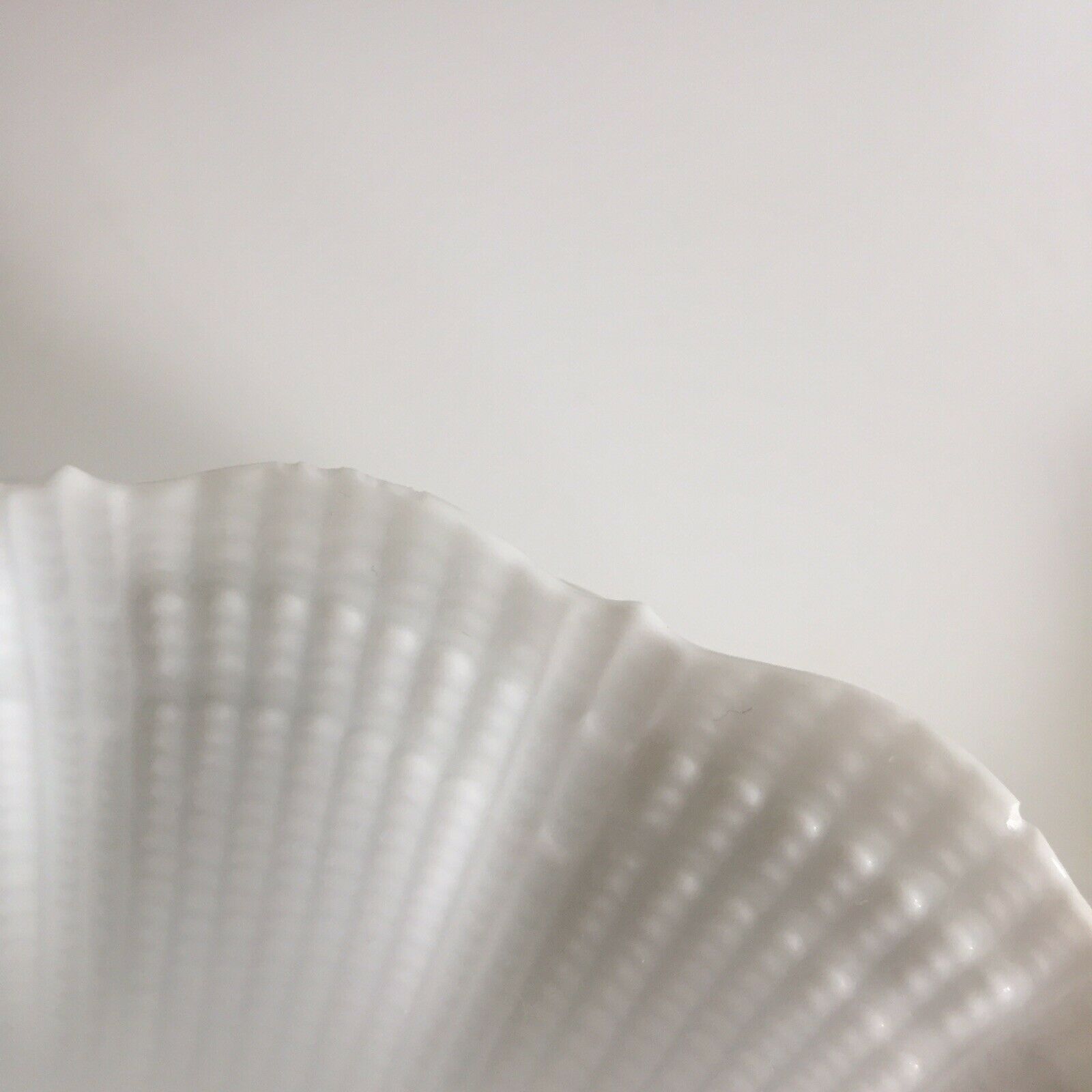 6 porcelain plates Limoges Giraud Brousseau