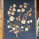 Herbarium ancient natural composition in flower and grass under glass