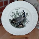 Decorative Plate