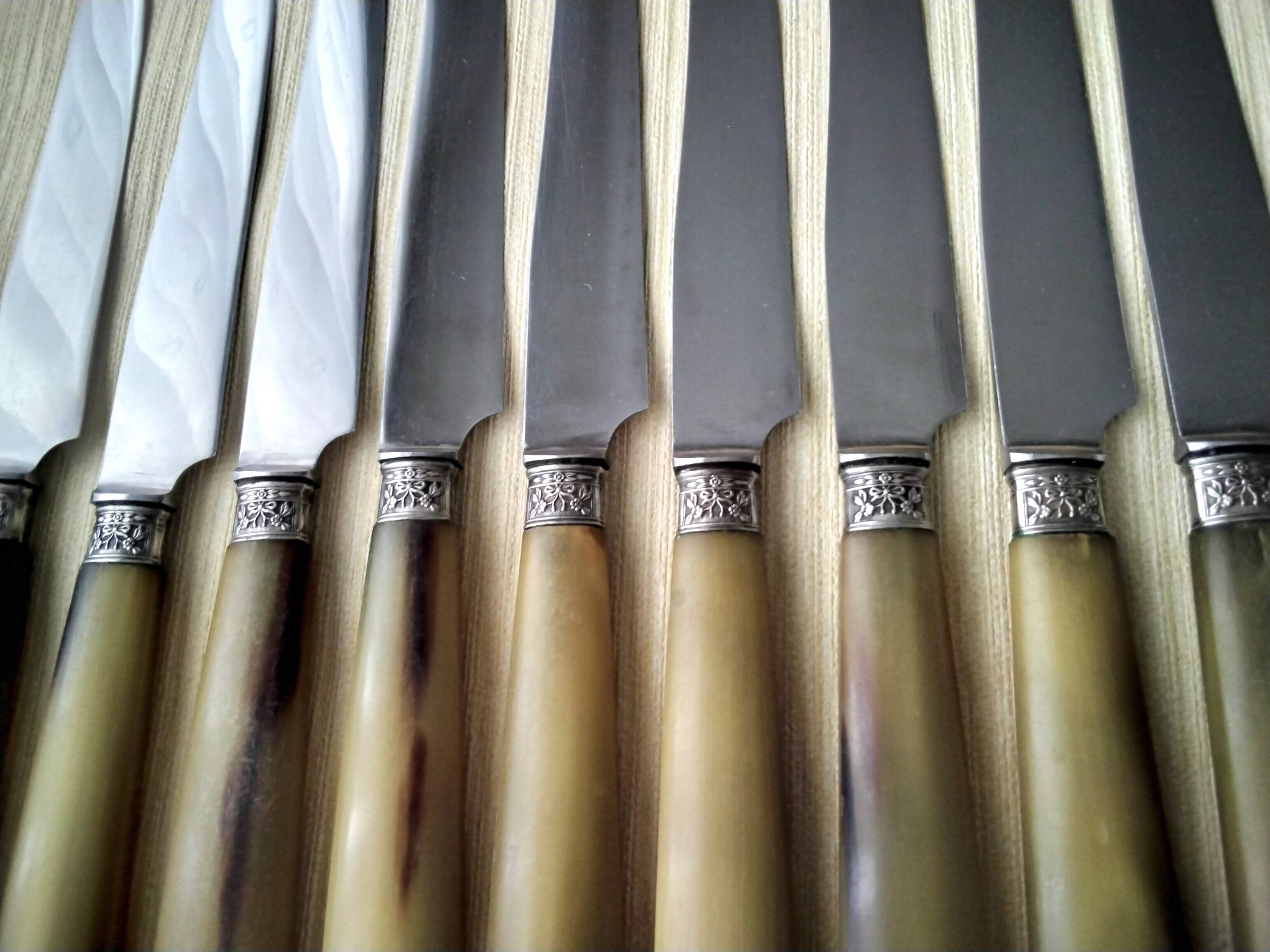 11 Apollo bovine horn and stainless steel table knives