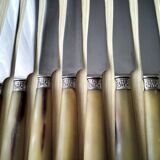 11 Apollo bovine horn and stainless steel table knives