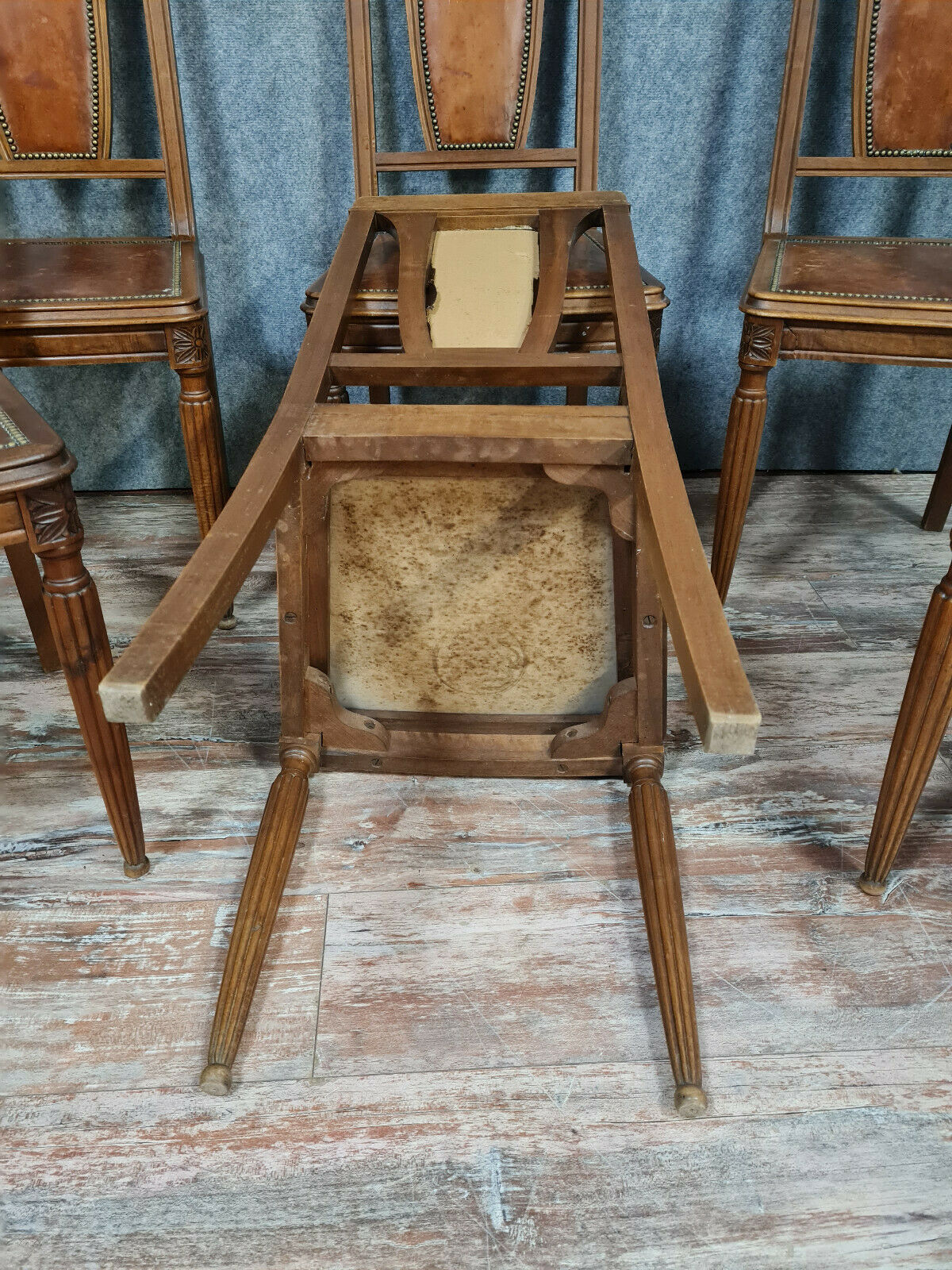Series of 6 Art Deco period chairs in solid walnut with blonde patina
