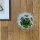 Vintage ceiling light Murano glass Mazzega green flower and stainless steel