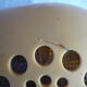 Articulated bedside alarm alarm lamp "Space Age" 70s