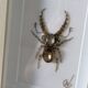 Tableau insecte brodé à la main (pièce unique)