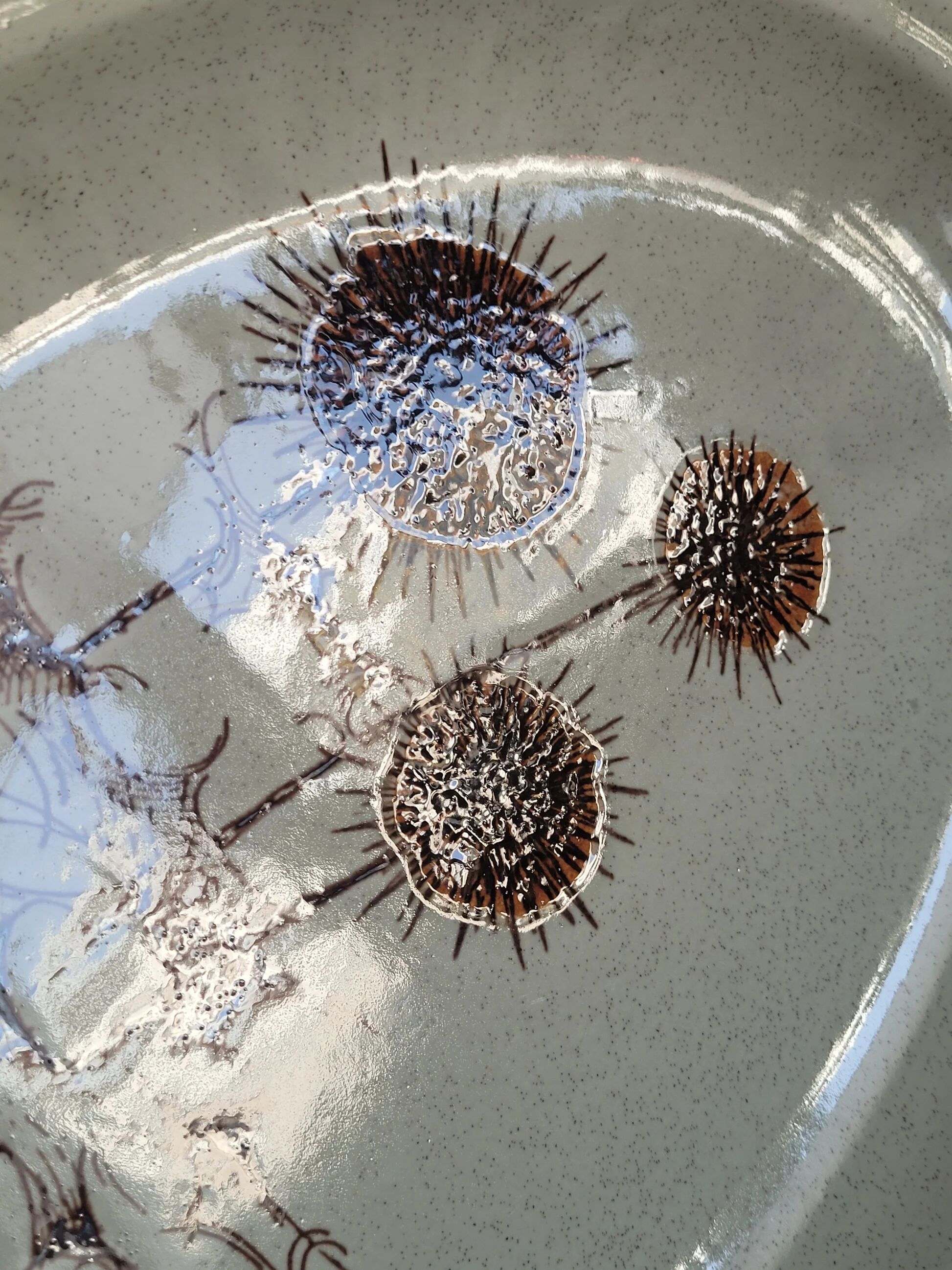 Ceramic serving dish with thistle pattern Sarreguemines