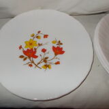 4 vintage Arcopal plates