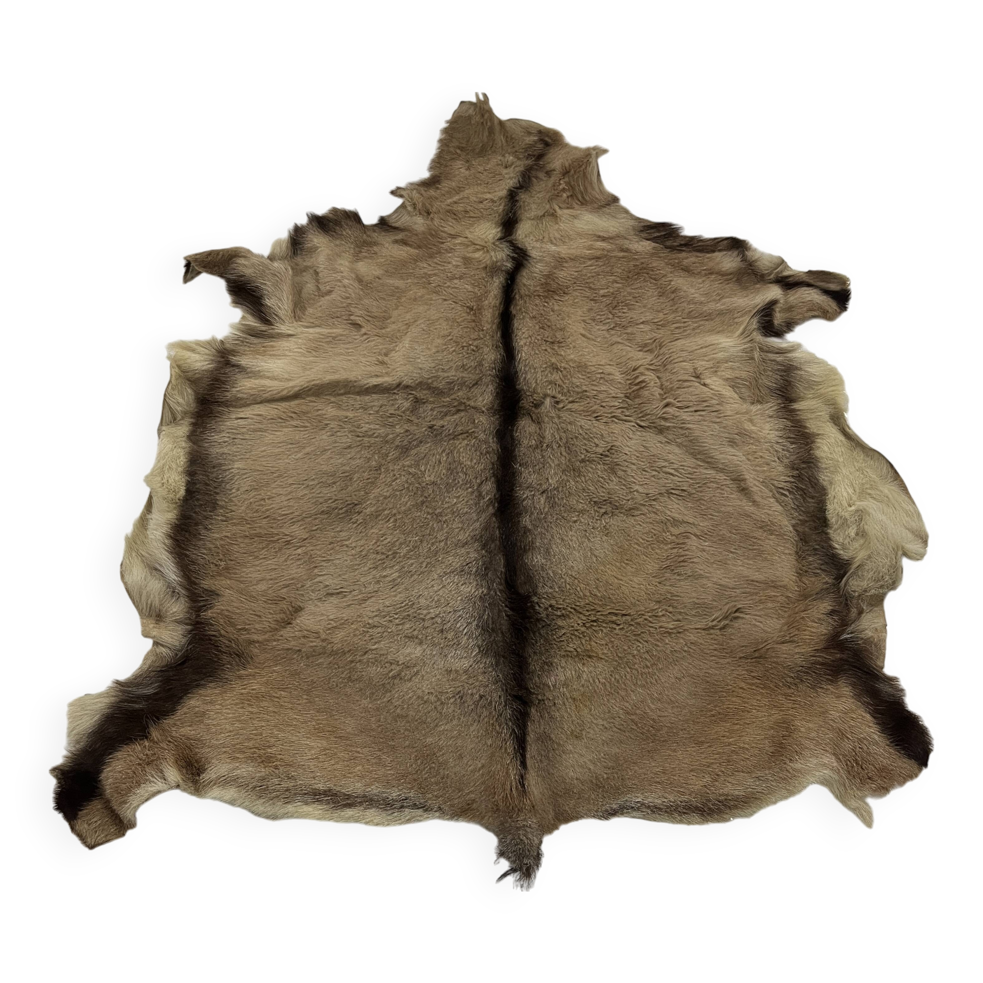 Goat skin rug, 20th century.