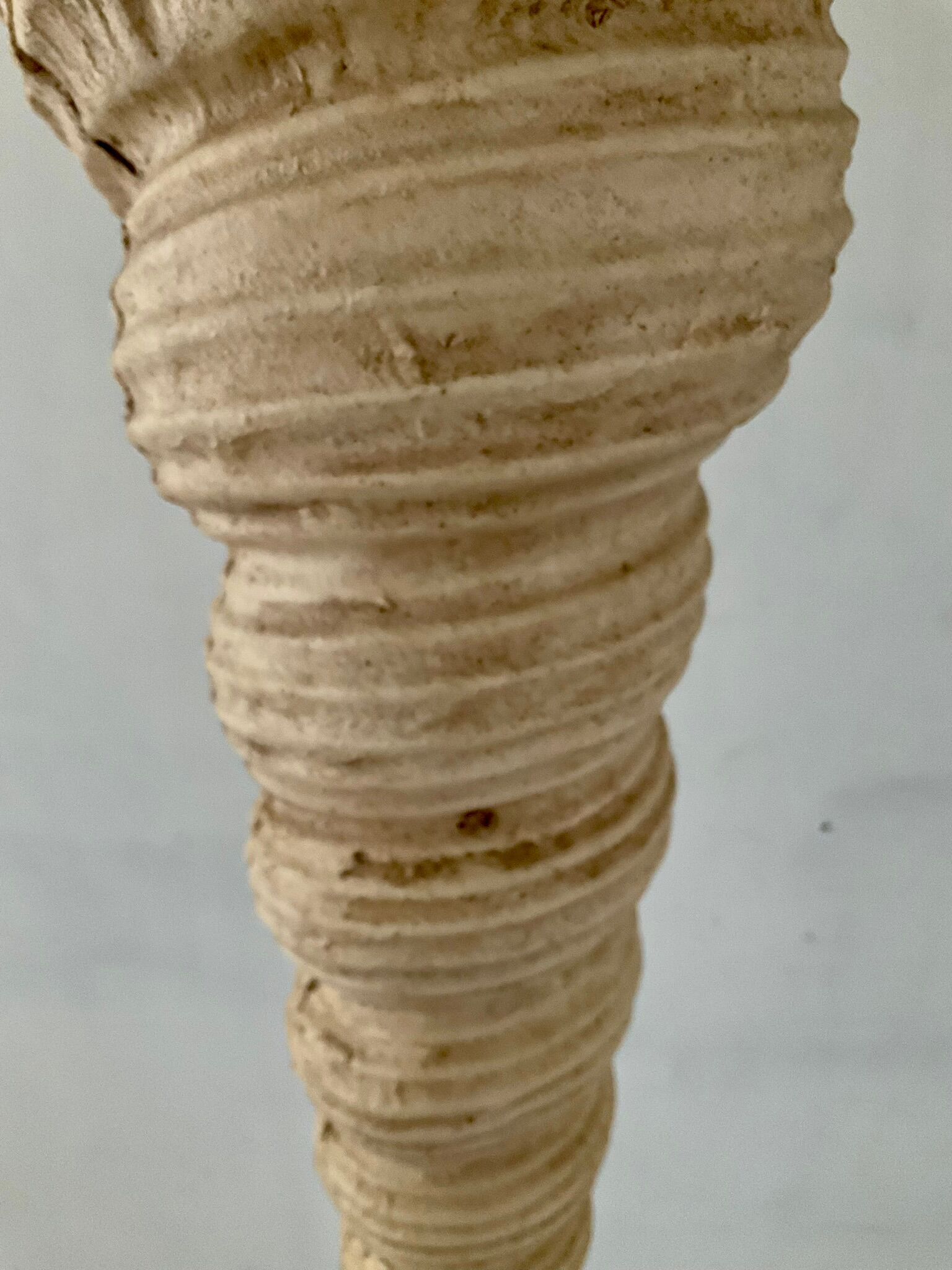 Floor lamp Shell "Ariell" by IIhan Koman 80s