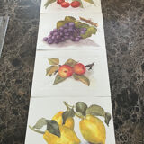 Fruit drawings