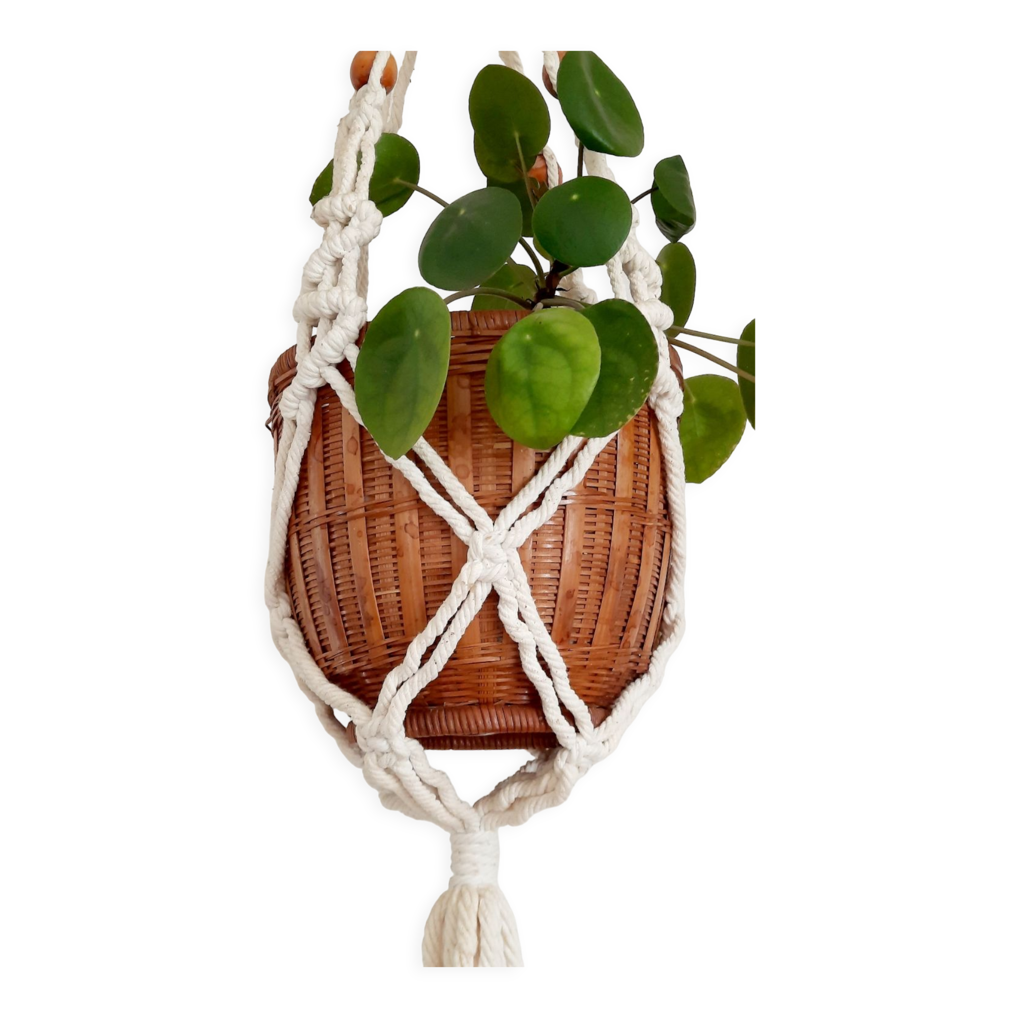 Suspension in macrame plant holder