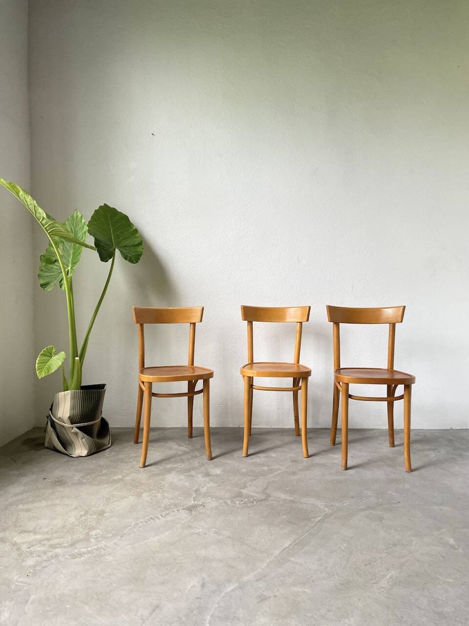 Set de trois chaises bistrot