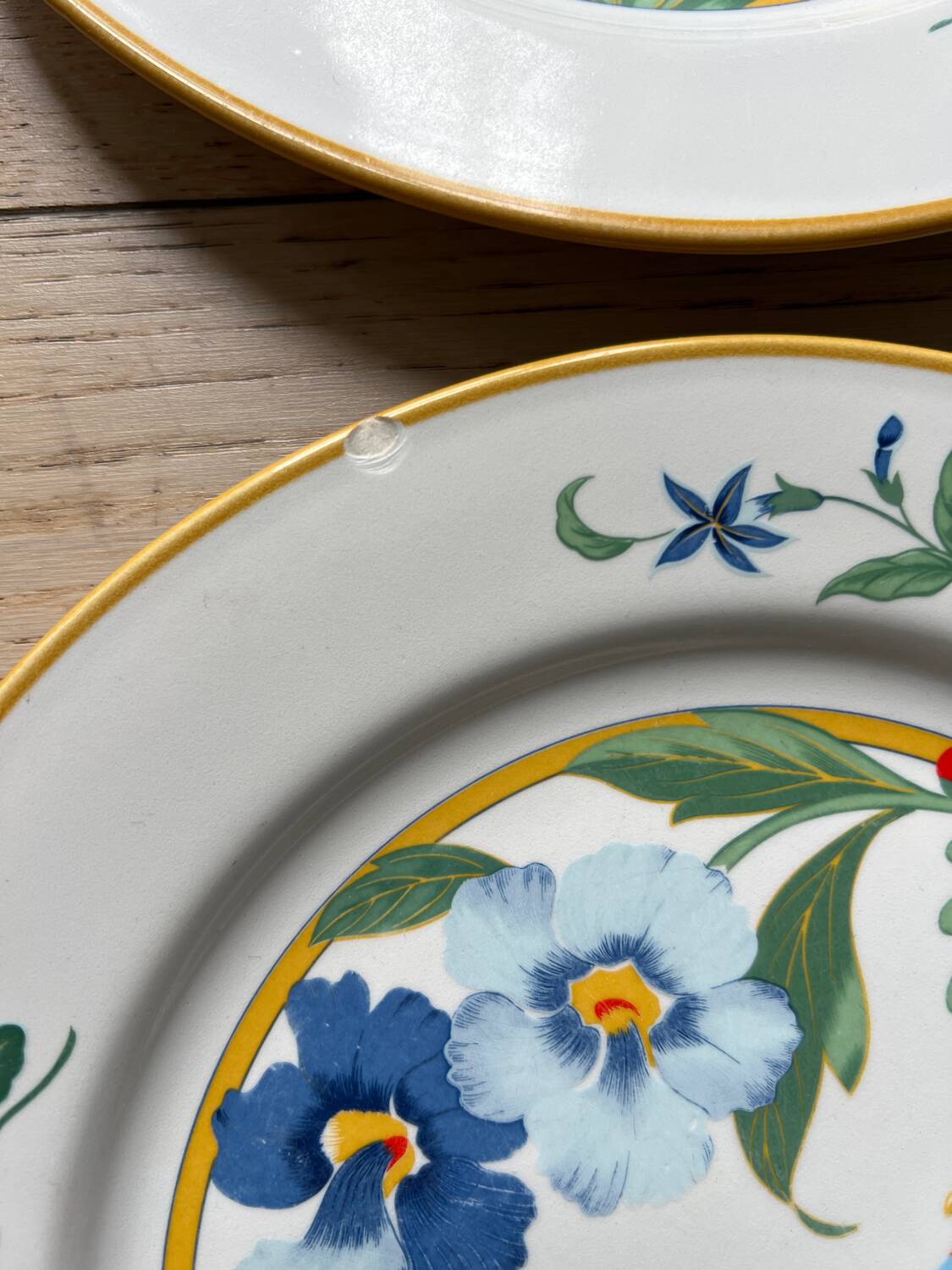 Flat plates model Ara Pier Import