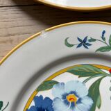 Flat plates model Ara Pier Import