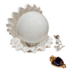 Lampe coquillage vintage