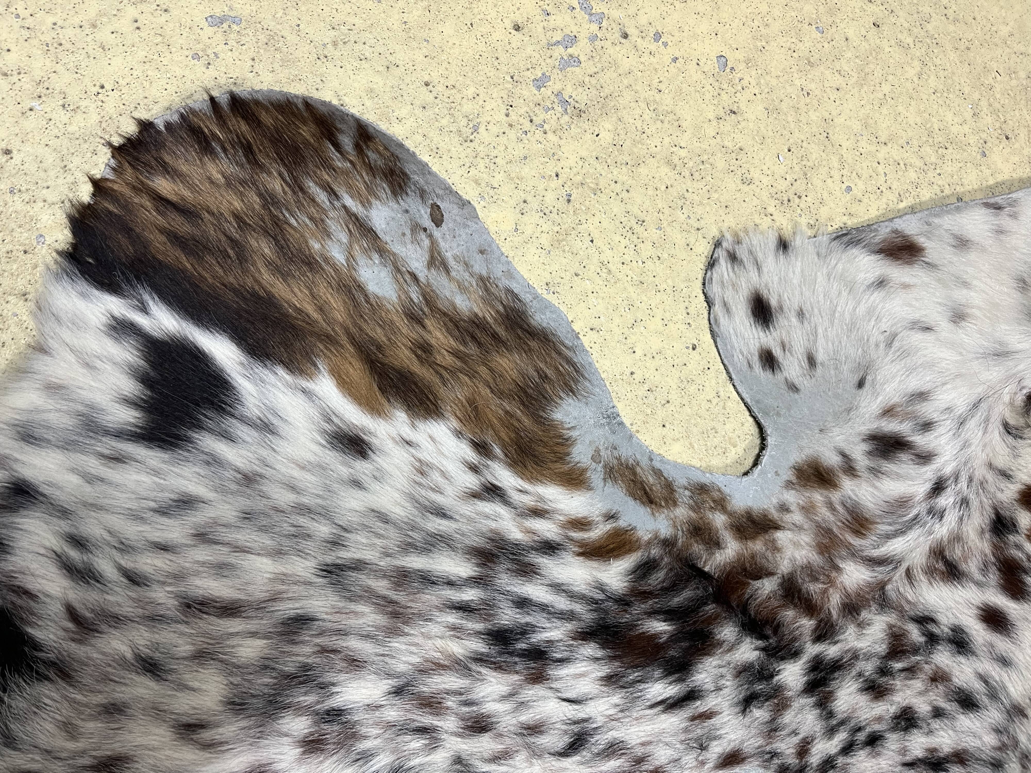 Peau de vache normande ht 240 x 230