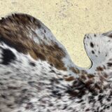 Peau de vache normande ht 240 x 230