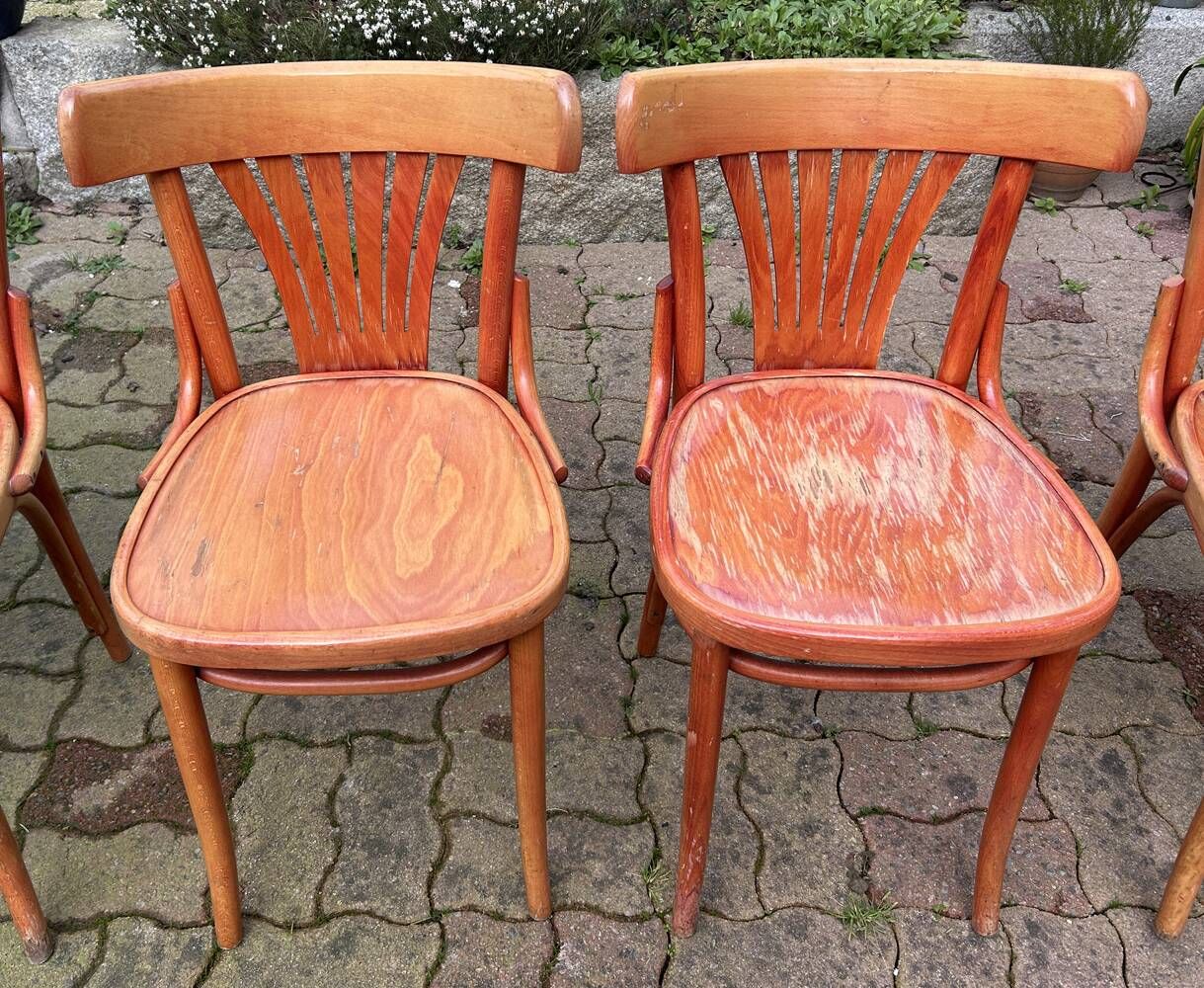 Set of 5 brasserie, bistro chairs, in their original condition, vintage, 1960s
