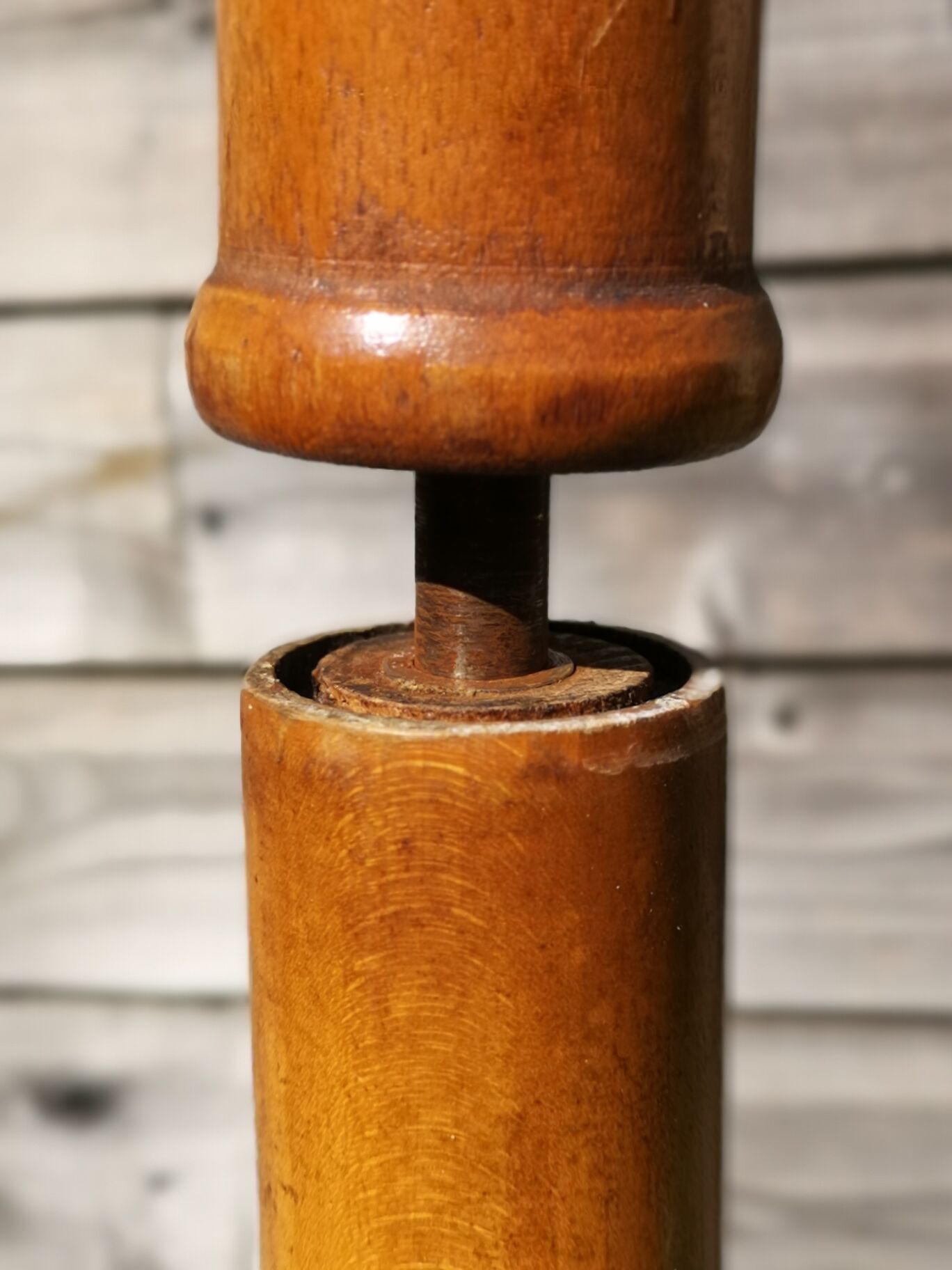 Baumann Parrot coat holder