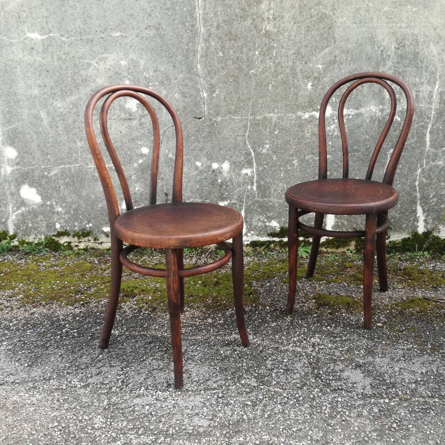 Bistro chairs 1900, set of 2