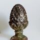 Garden pine cone