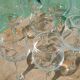 Chinon Rabelaisian glasses – Touraine – vintage glassware